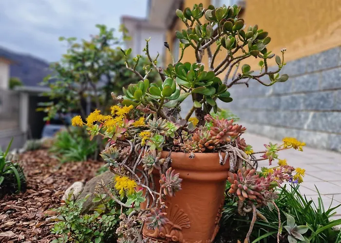 아파트 Al Roccolo House *