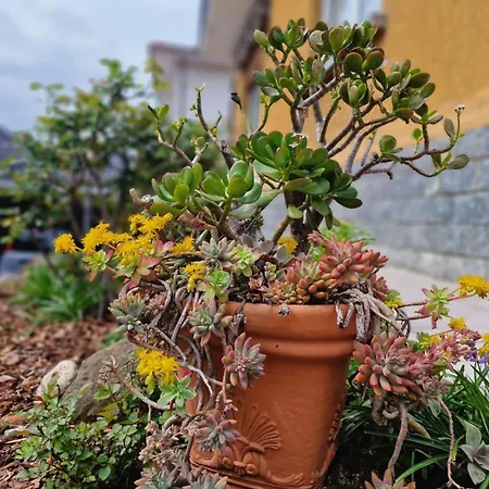 شقة Al Roccolo House *